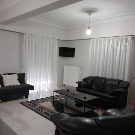 Spacious Apartment Anatoli Ioannina Exterior foto